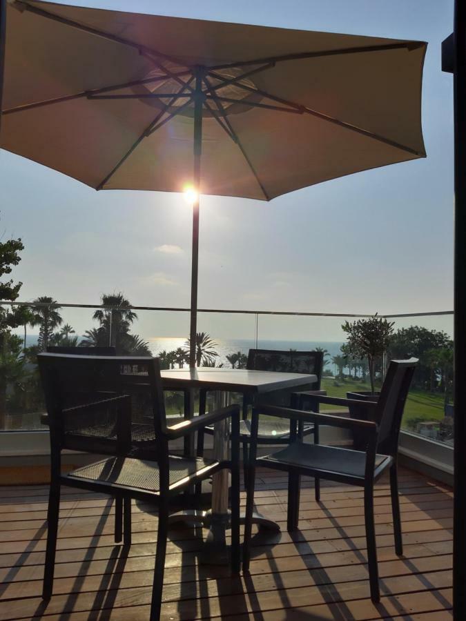 Terrazza Пафос